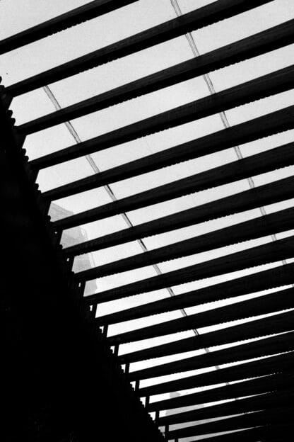 pexels-mathias-reding-13641118